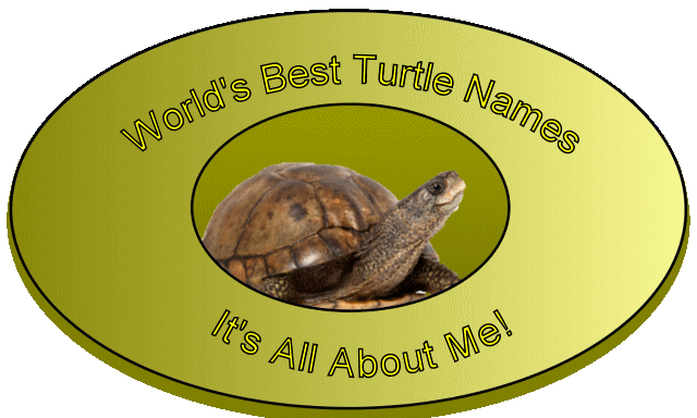 World's Best Turtle Names Logo